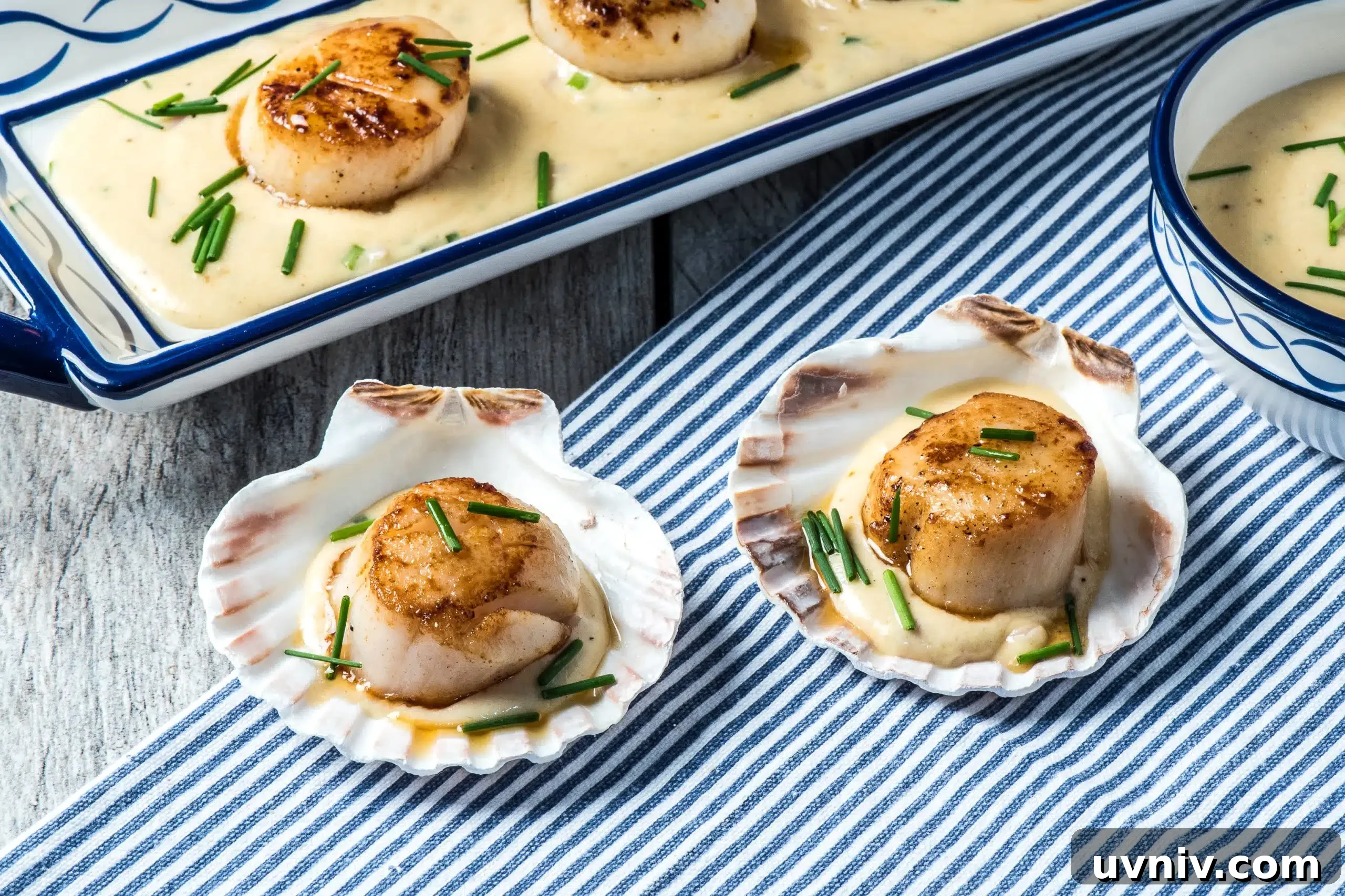 Seared scallops with Jarlsberg sauce