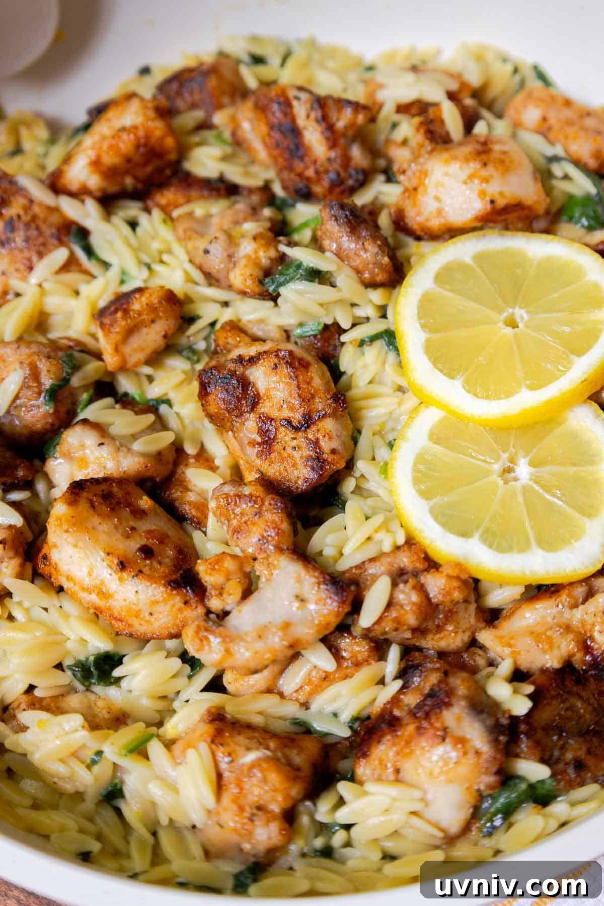 Lemon chicken orzo garnished with lemon slice.