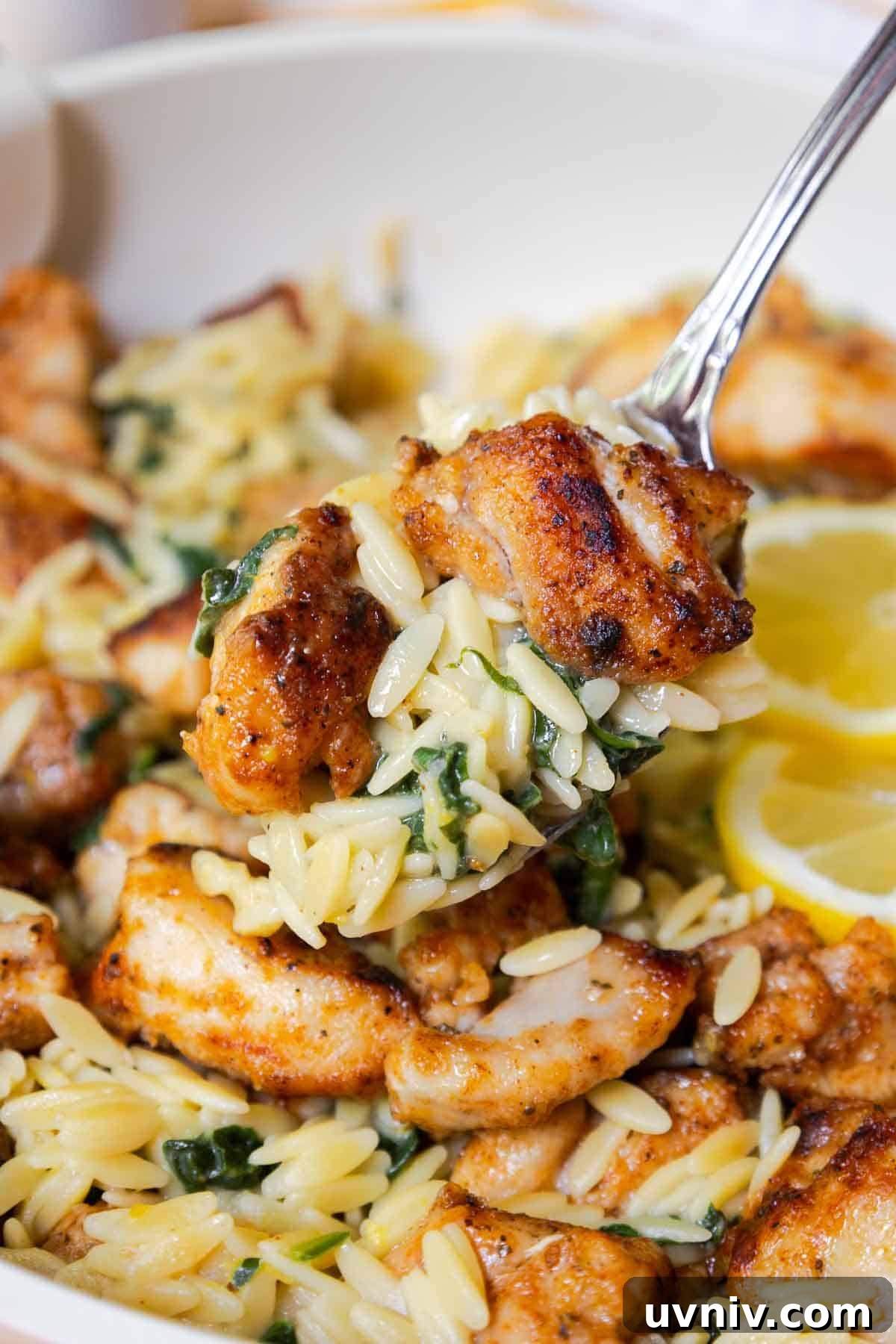 Spoonful of lemon chicken orzo.