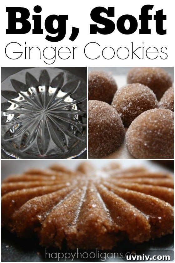 Soft, Chewy Gingerbread Cookies That Stay Tender 2 Big Soft Ginger Cookies - Happy Hooligans
