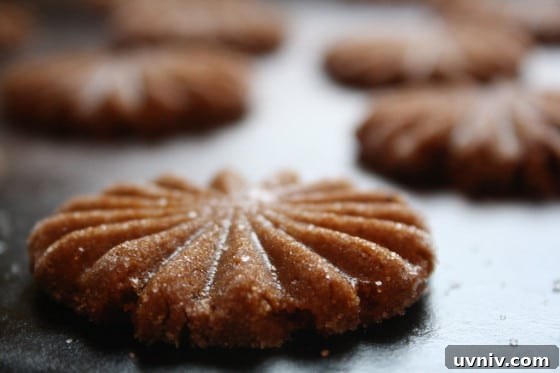 Soft, Chewy Gingerbread Cookies That Stay Tender 5 Unbaked cookies on baking stone