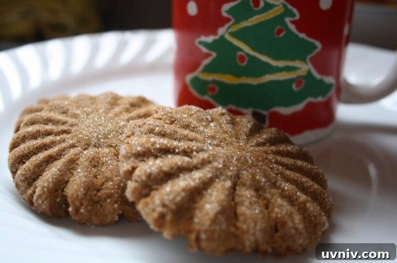 Soft, Chewy Gingerbread Cookies That Stay Tender 6 2 baked ginger cookies on plate beside Christmas mug