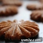 Soft, Chewy Gingerbread Cookies That Stay Tender 7 img 1666 6
