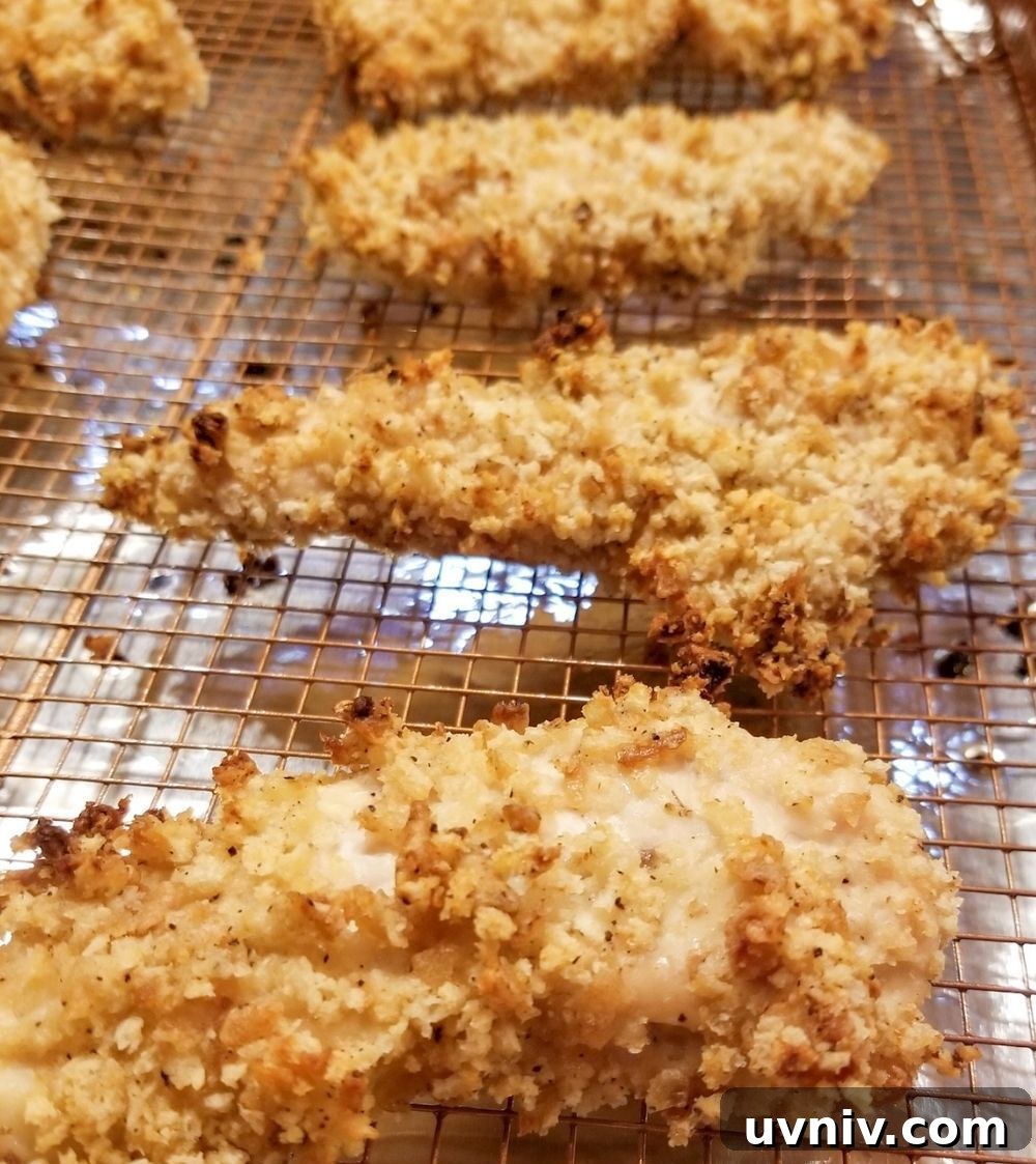 31 Delicious Chicken Tenderloin Recipes for Quick Weeknight Meals 12 Oven Baked Chicken Tenders