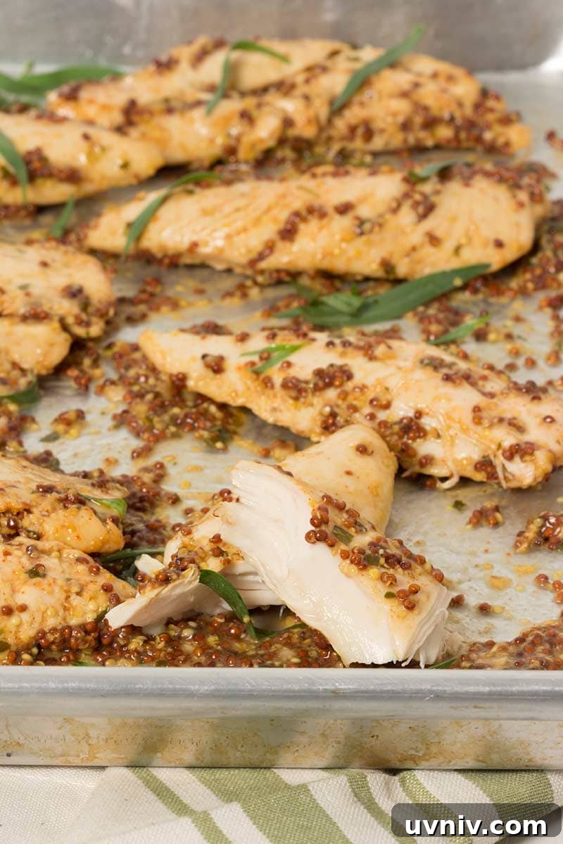 31 Delicious Chicken Tenderloin Recipes for Quick Weeknight Meals 19 Mustard Baked Chicken