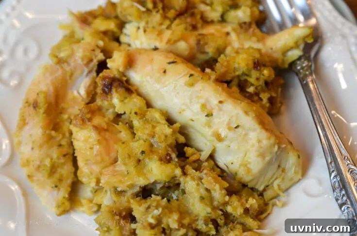 31 Delicious Chicken Tenderloin Recipes for Quick Weeknight Meals 28 Chicken and Stuffing