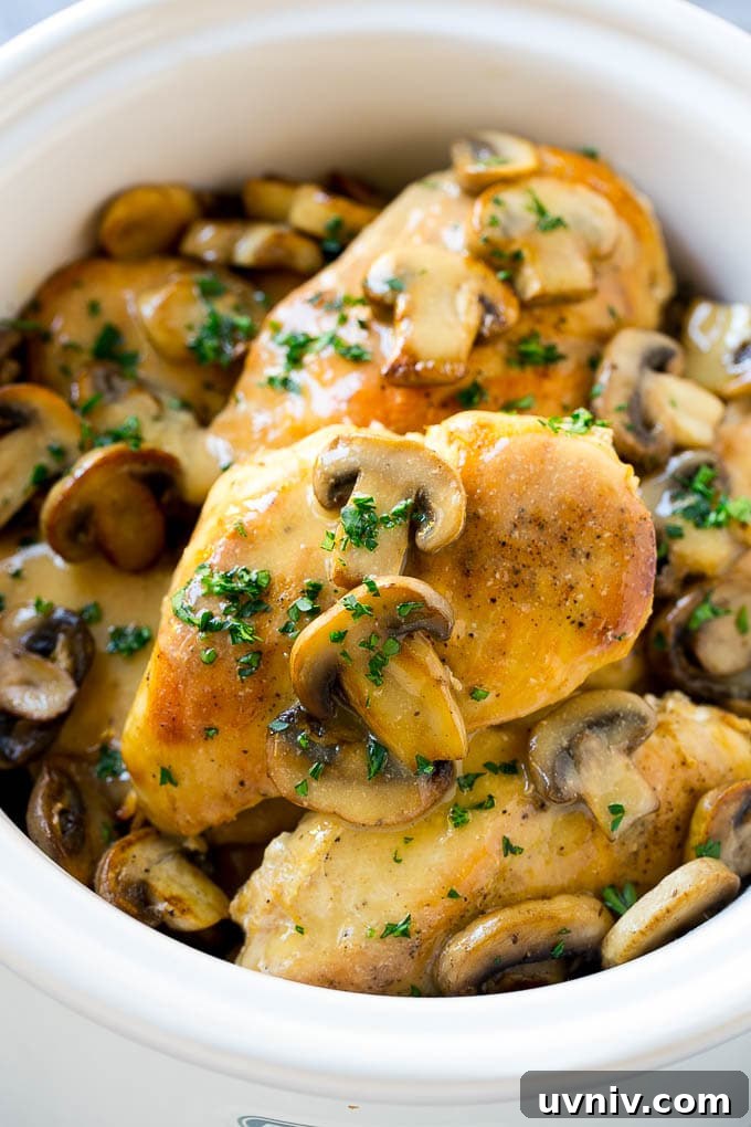 31 Delicious Chicken Tenderloin Recipes for Quick Weeknight Meals 31 Chicken Marsala