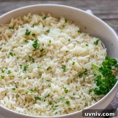 Crispy Garlic Butter Chicken Wings Recipe 11 Square image of garlic rice.