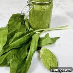 A jar of wild garlic pesto, wild garlic leaves