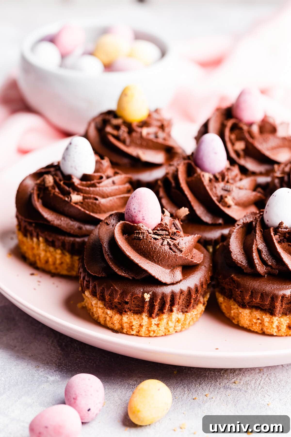 side close up at individual chocolate cheesecakes on a plate