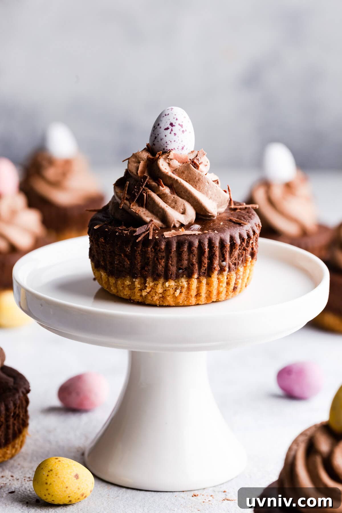 side close up at a chocolate mini cheesecake on a cake stand