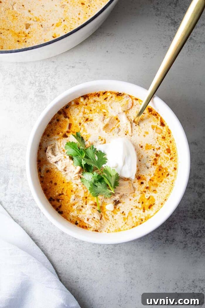 Low-Carb White Chicken Chili Recipe for Keto Diet 2 overhead view of keto white chicken chili in white serving bowl and gold spoon inside garnished with green onion and sour cream
