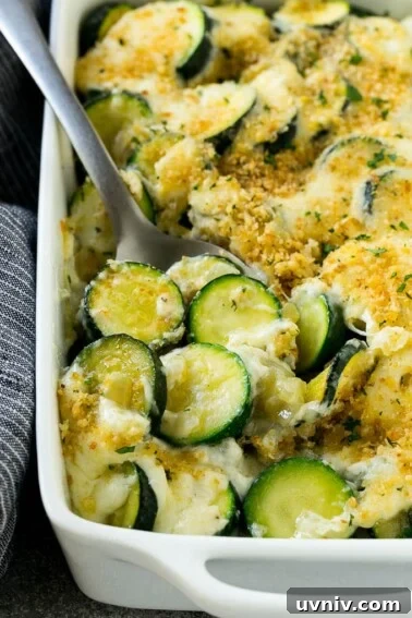 Zucchini gratin with creamy zucchini, cheese and crispy breadcrumbs.