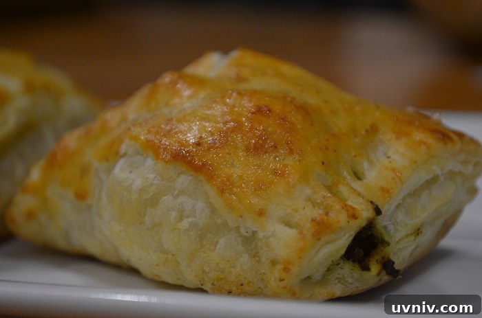 Crispy Beef Samosa Puff Pastries — Savory Indian Snack Recipe 26 baked