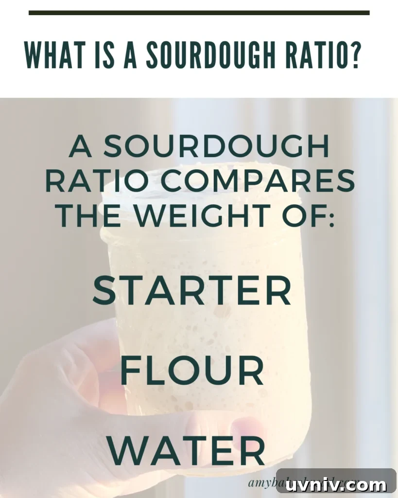 Sourdough Starter Ratios: How to Mix for Consistent Results 3 Graphic explaining sourdough feeding ratio with jar of starter and text describing ratio of starter, flour, and water.