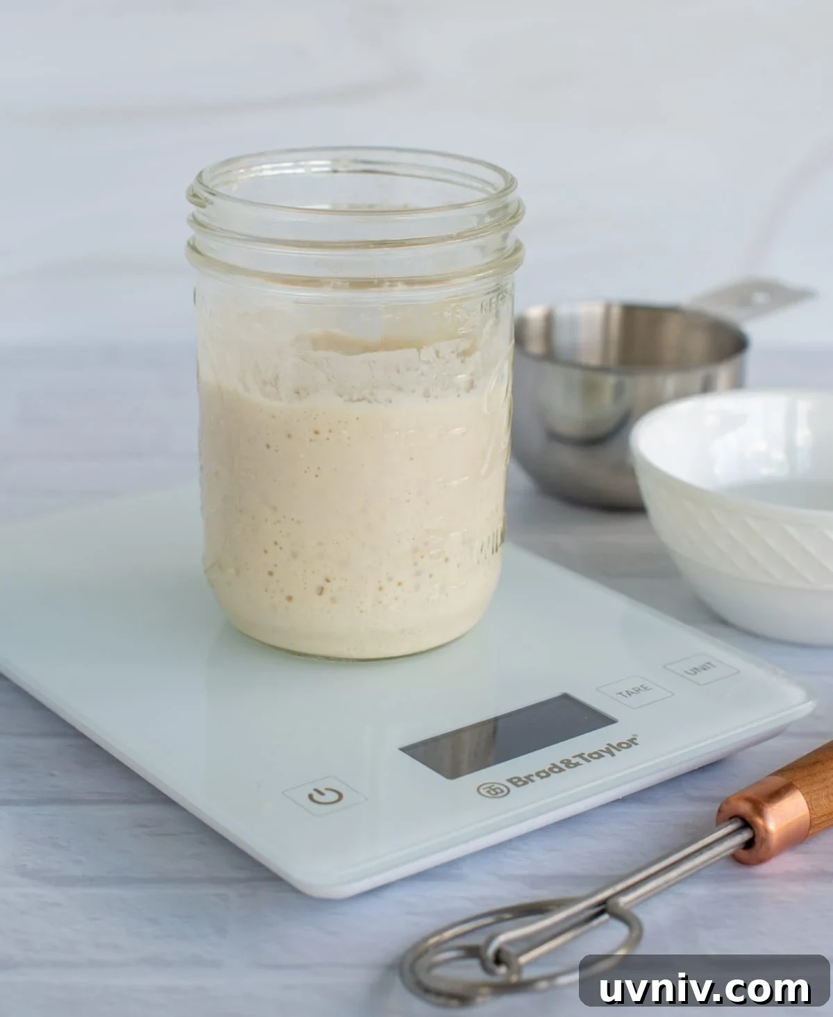 Sourdough Starter Ratios: How to Mix for Consistent Results 5 Sourdough starter on a scale after being fed.