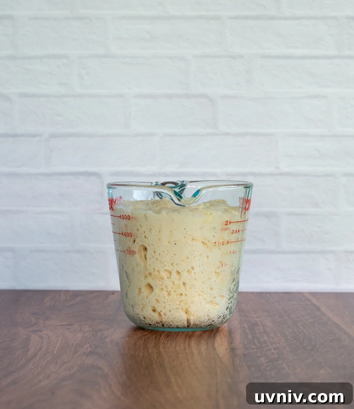 Sourdough Starter Ratios: How to Mix for Consistent Results 6 Stiff sourdough starter in a liquid measuring cup on a counter.