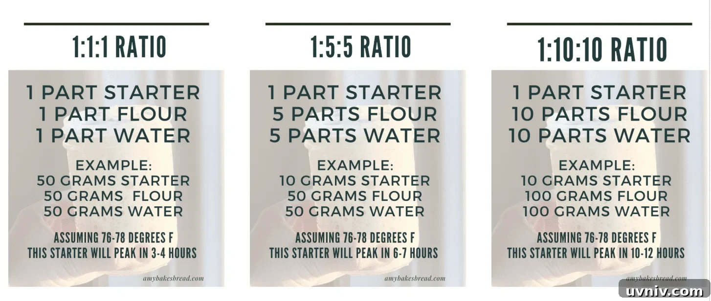 Sourdough Starter Ratios: How to Mix for Consistent Results 7 Sourdough feeding ratio graphics lined up together.