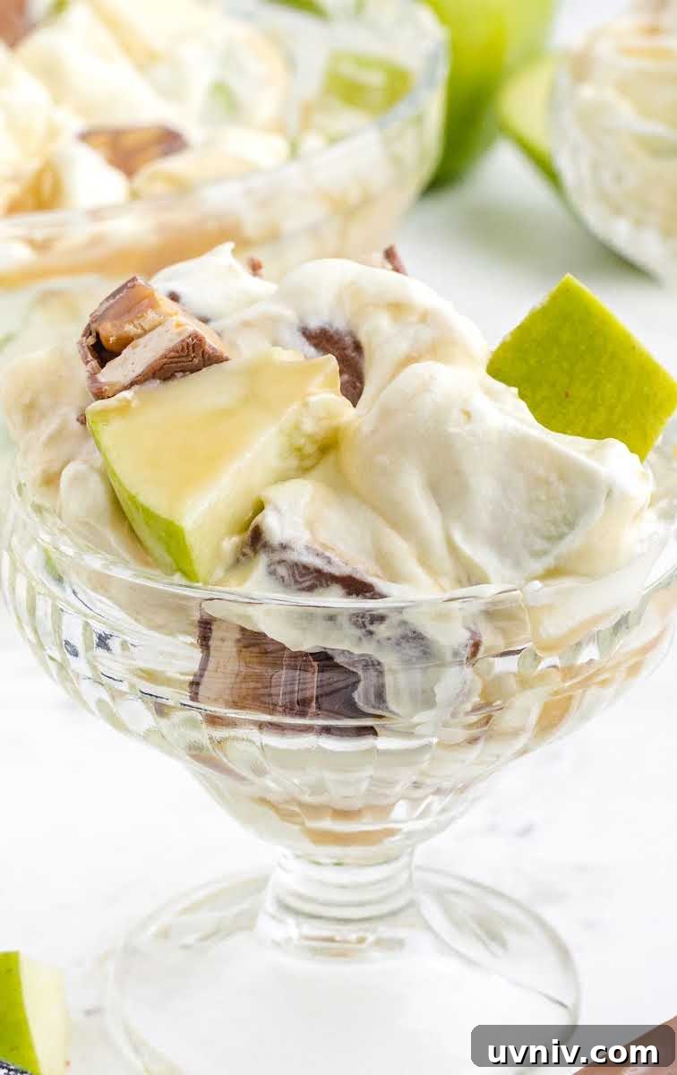 Snickers Salad Recipe: Creamy Dessert Salad with Chocolate & Peanut Butter 8 close up shot of a small cup of Snickers Salad