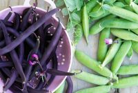 Lulu’s Adventure with the Little Green Peas