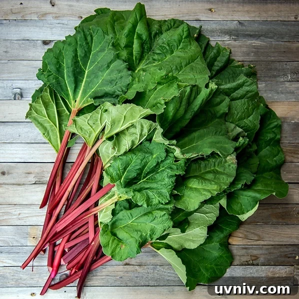 Low-Carb Strawberry Rhubarb Coffee Cake — Gluten-Free Keto-Friendly 4 img 1950 3