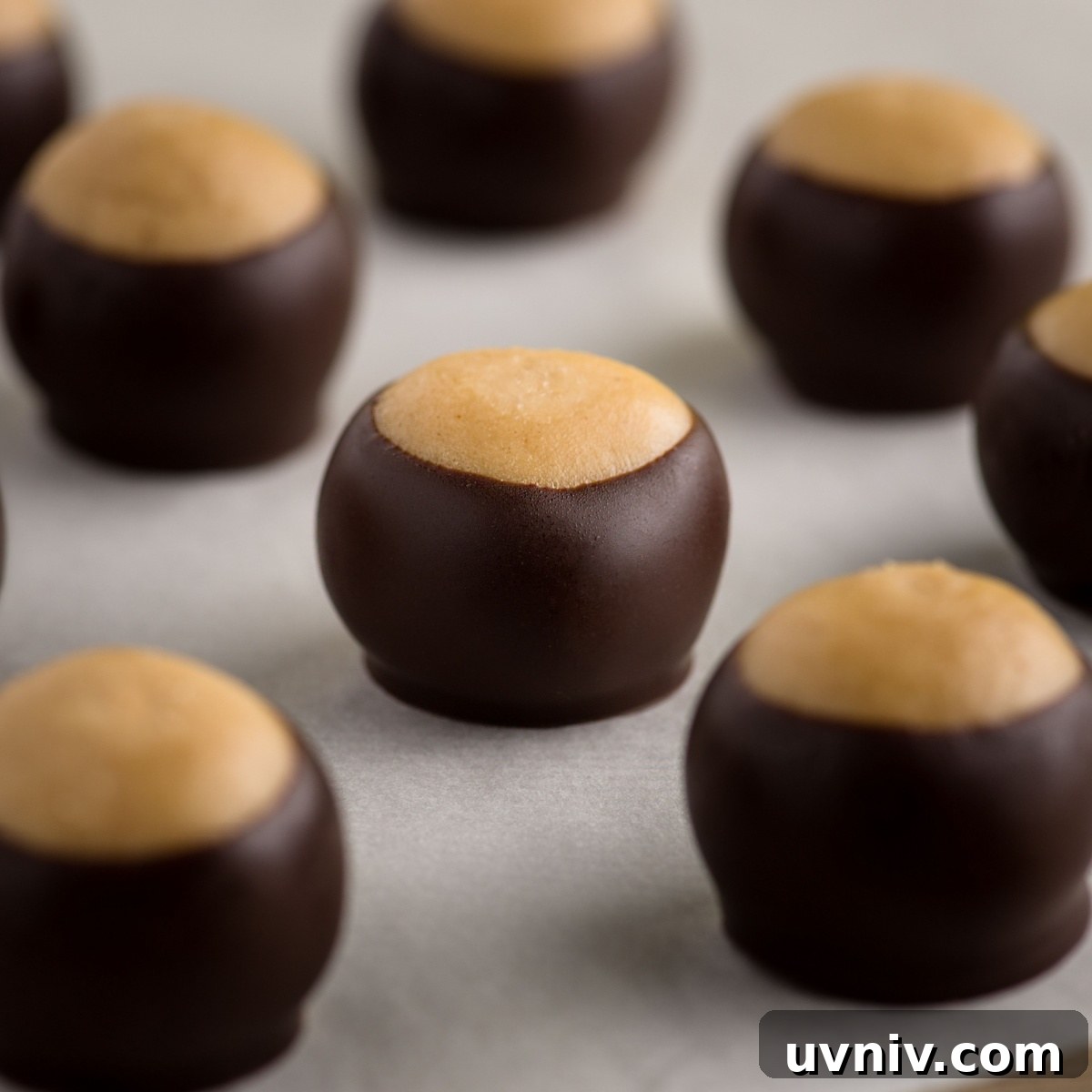 Homemade Buckeyes: Chocolate-Covered Peanut Butter Balls Recipe 2 Buckeye candy