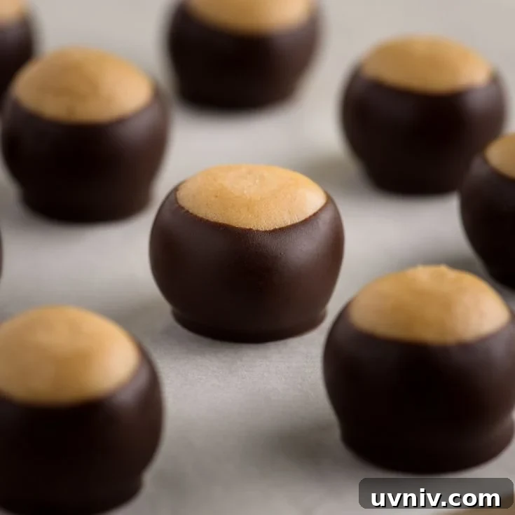Buckeye candy