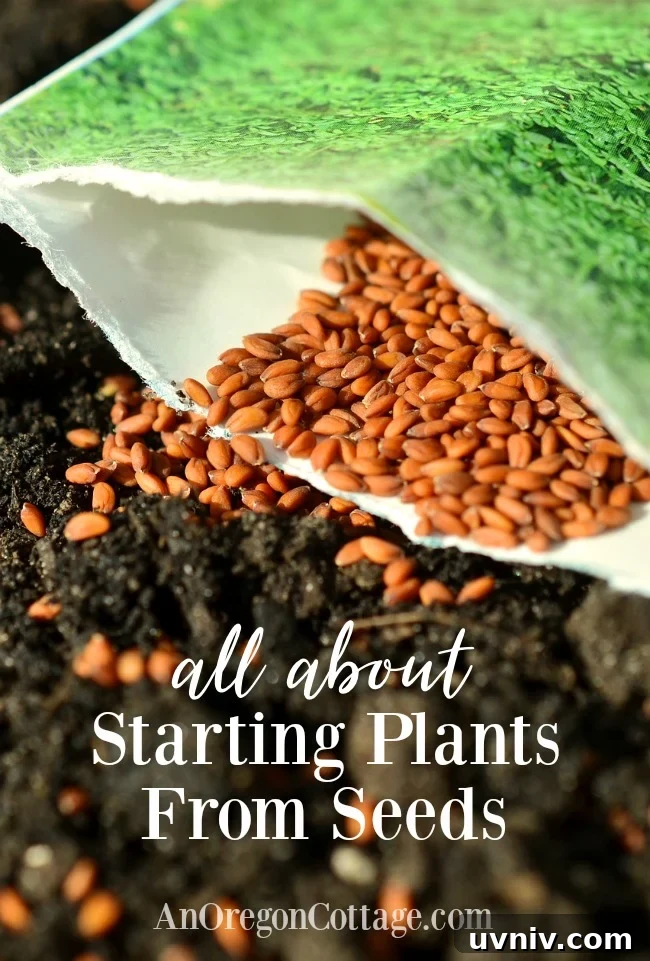 Complete Seed Starting Guide: How to Grow Plants from Seeds 2 seed starting guide -garden seeds on soil