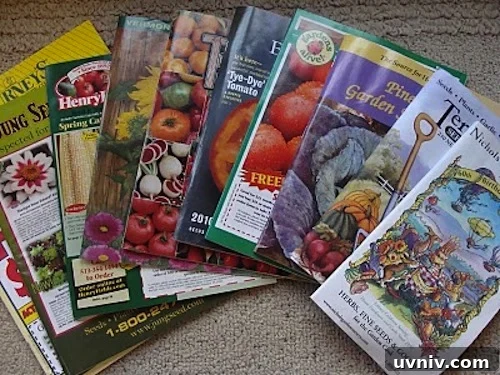 Complete Seed Starting Guide: How to Grow Plants from Seeds 4 Garden Catalogs