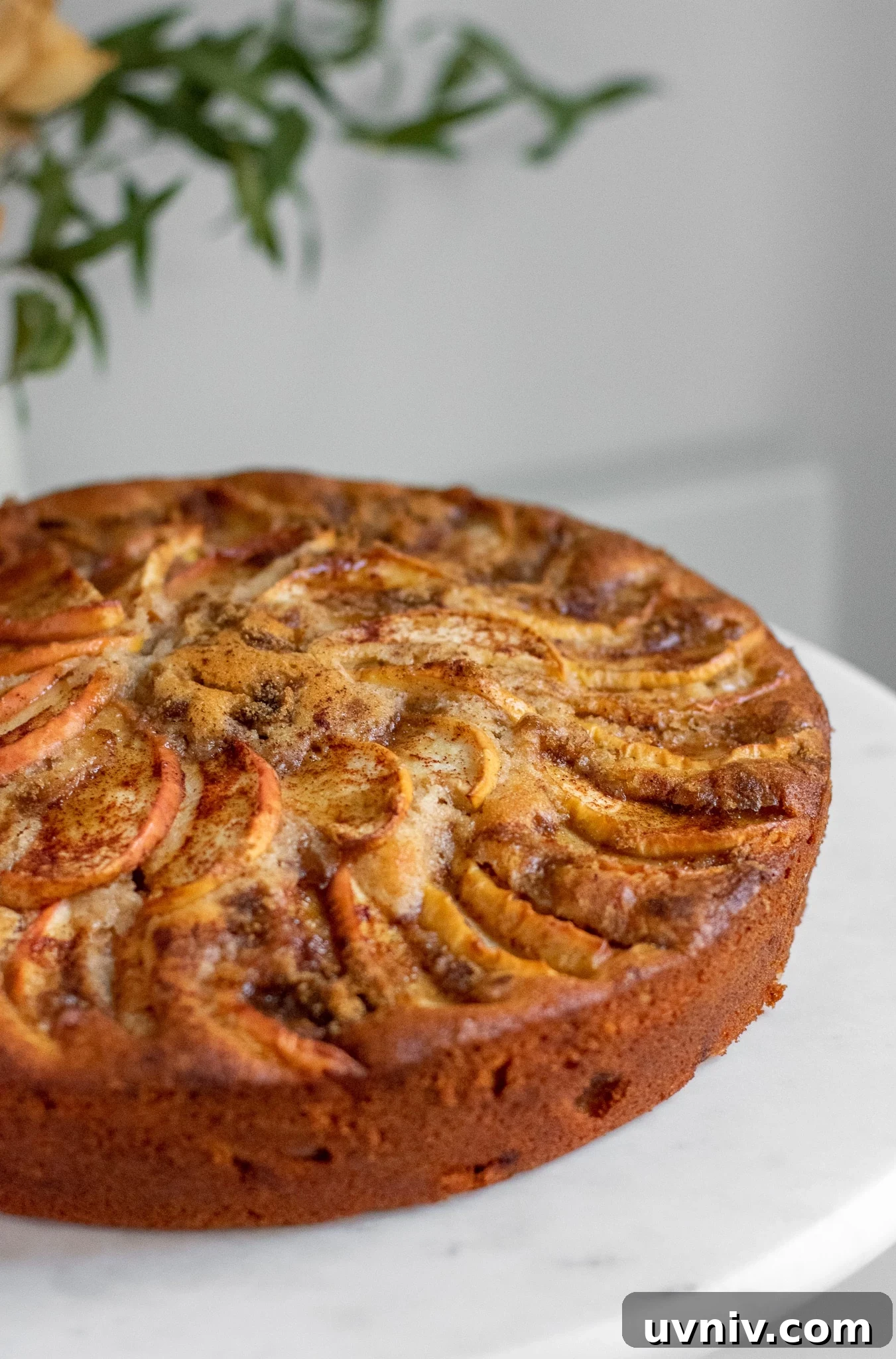 Classic Danish Æblekage Recipe — Rustic Apple Cake with Crumbs 3 Apple cake on a cake stand topped with cinnamon and brown sugar.
