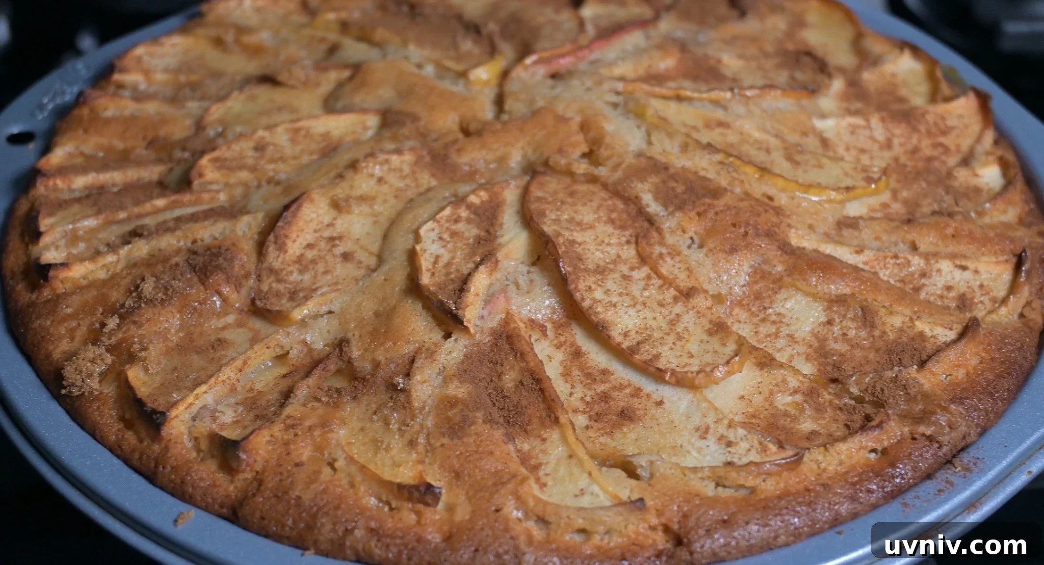 Classic Danish Æblekage Recipe — Rustic Apple Cake with Crumbs 23 Apple cake after baking.