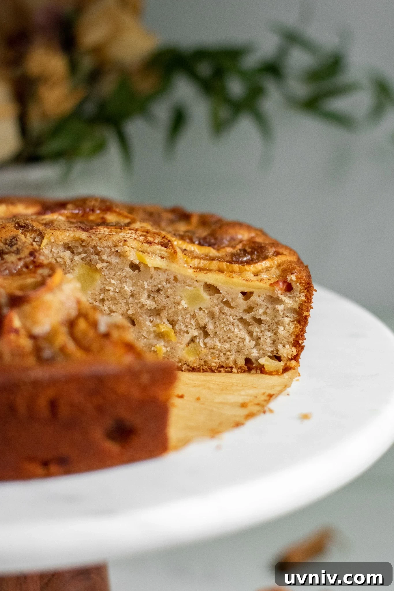 Classic Danish Æblekage Recipe — Rustic Apple Cake with Crumbs 5 Apple cake on a cake stand topped with cinnamon and brown sugar.