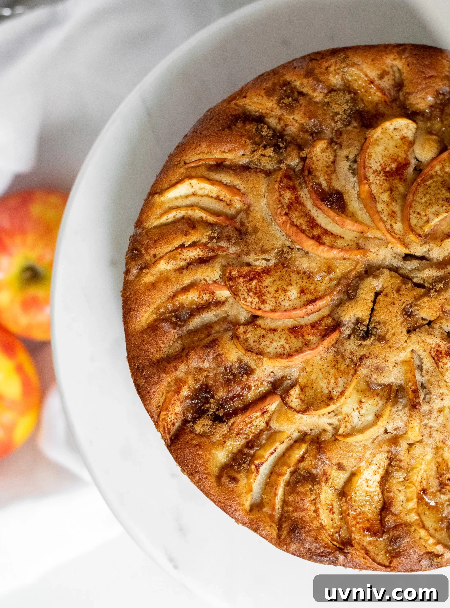 Classic Danish Æblekage Recipe — Rustic Apple Cake with Crumbs 6 Apple cake on a cake stand topped with cinnamon and brown sugar.