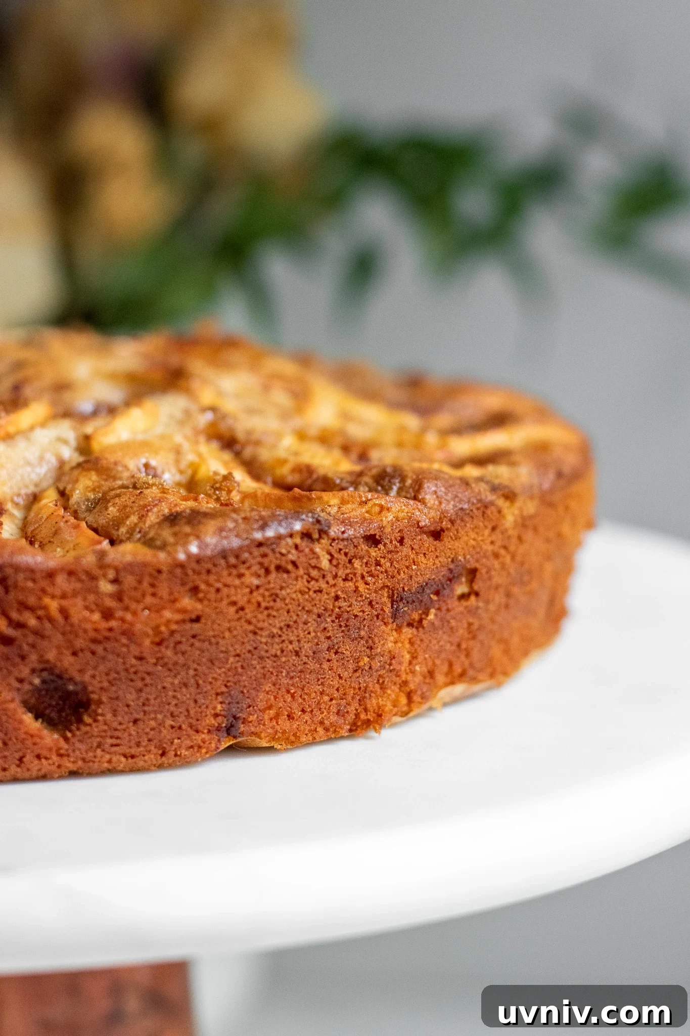 Classic Danish Æblekage Recipe — Rustic Apple Cake with Crumbs 7 Apple cake on a cake stand topped with cinnamon and brown sugar.