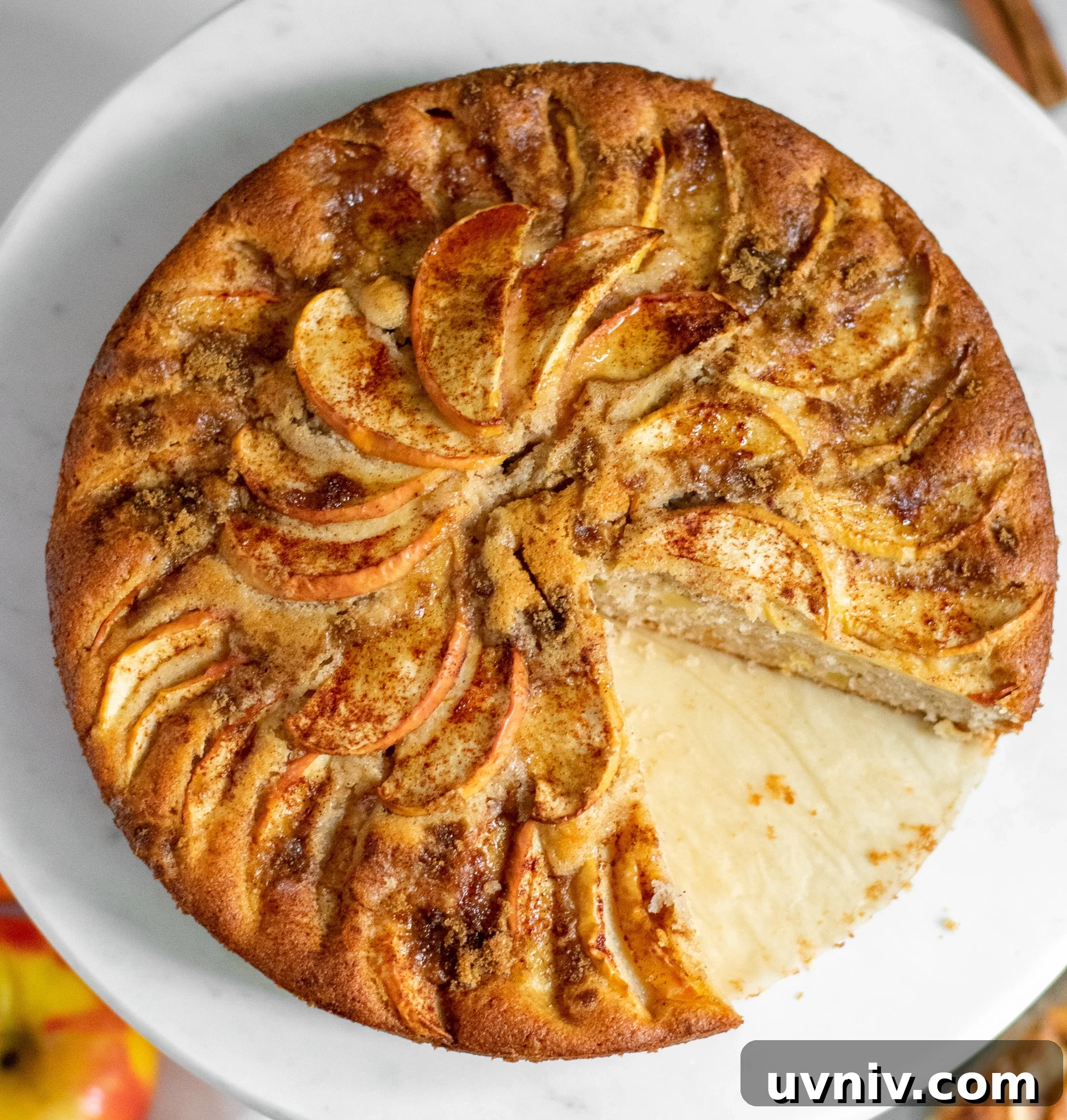 Classic Danish Æblekage Recipe — Rustic Apple Cake with Crumbs 10 Apple cake on a cake stand topped with cinnamon and brown sugar.