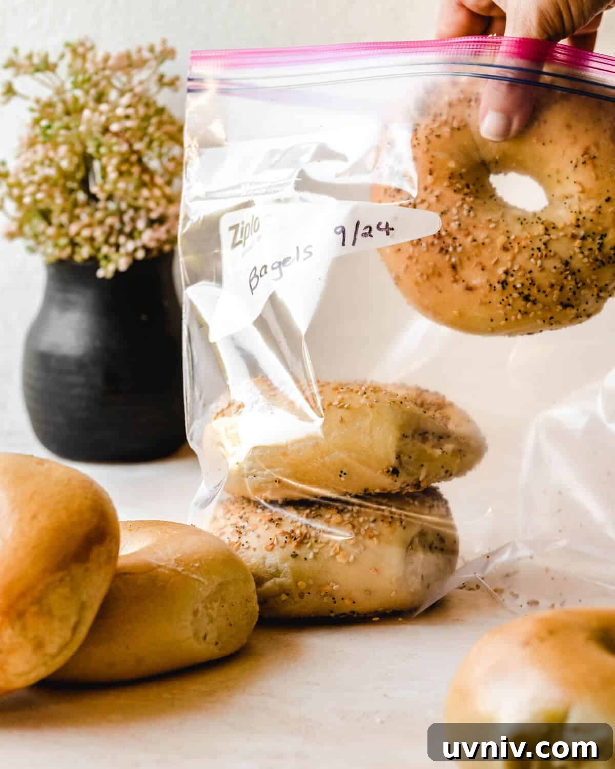 How Long Do Bagels Stay Fresh in the Fridge? 2 Hand adding a bagel to a ziploc bag.