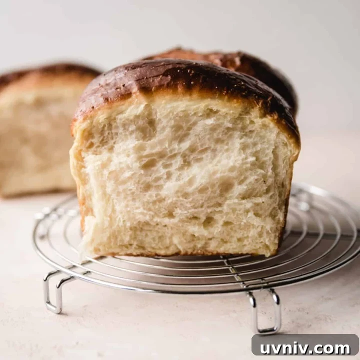 Crumb shot of condensed milk bread showing how fluffy it is.
