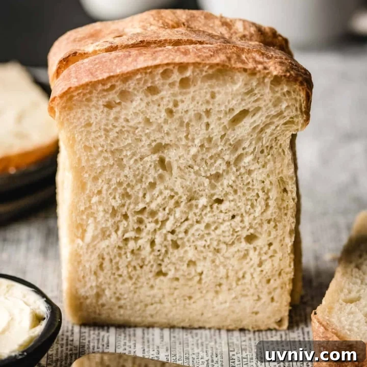 Top this homemade sandwich bread with your favorite toppings and enjoy.