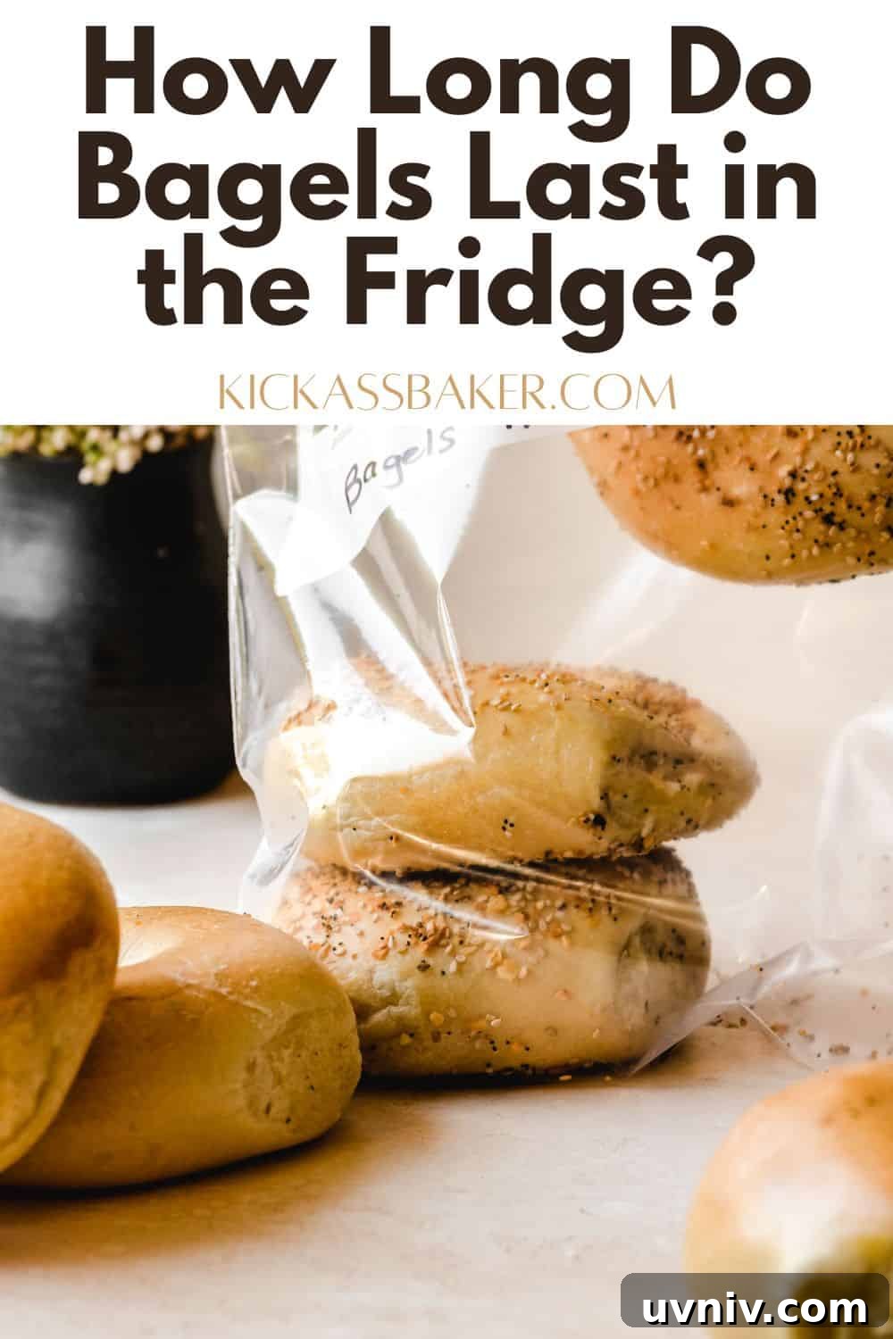 How Long Do Bagels Stay Fresh in the Fridge? 16 How long do bagels last pin for pinterest