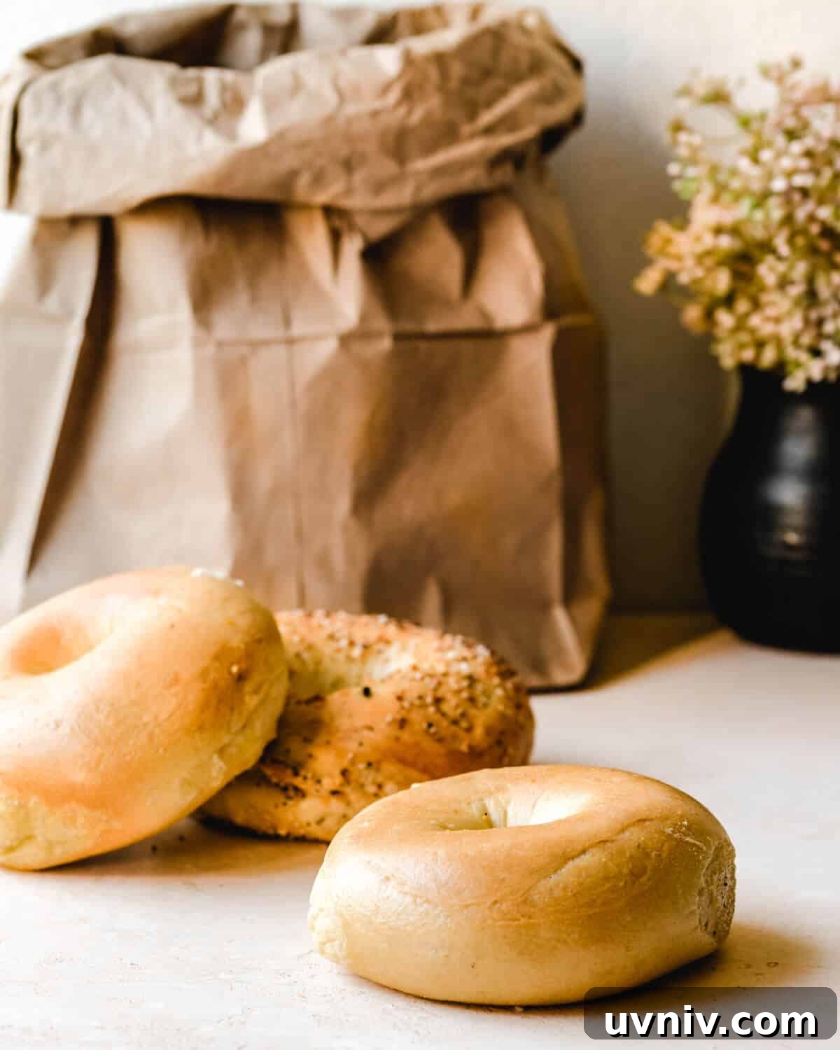How Long Do Bagels Stay Fresh in the Fridge? 4 A brown paper bag sitting behind 3 bagels.