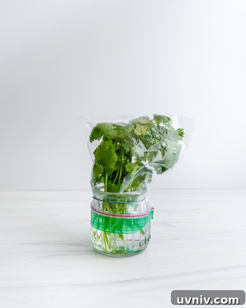 How to Store Fresh Herbs to Make Them Last Longer 2 herbs in a container