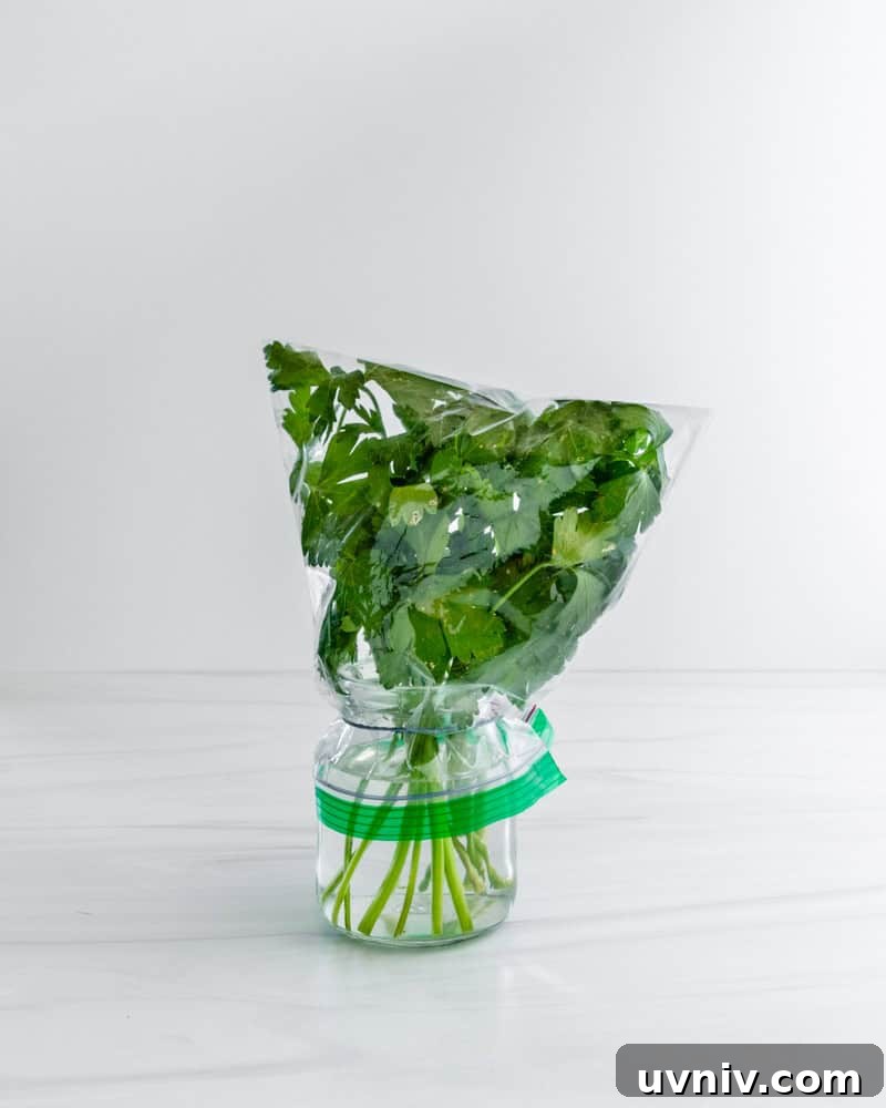 How to Store Fresh Herbs to Make Them Last Longer 3 herbs in a container