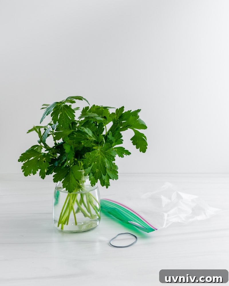 How to Store Fresh Herbs to Make Them Last Longer 4 herbs in a container