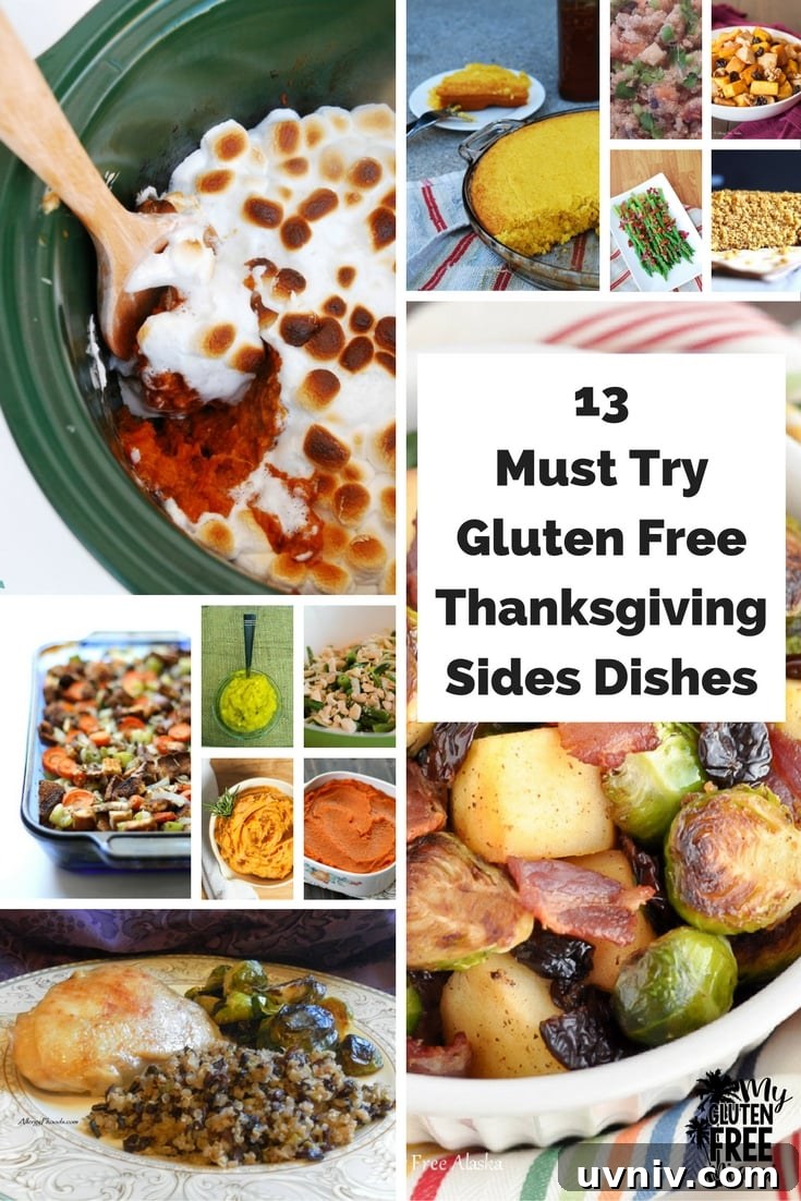 These 13 Must Try Gluten Free Thanksgiving Side Dishes are your key to an amazing Thanksgiving for the entire family, regardless of food sensitivities.