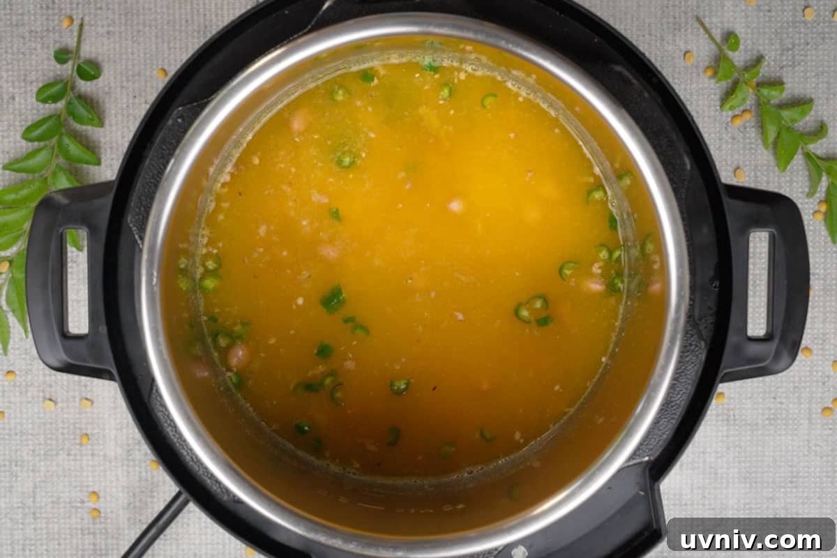 Gujarati Dal Recipe: Authentic Spiced Lentils from Gujarat 4 Ingredients added to the instant pot.