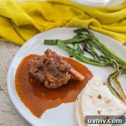 Braised Short Ribs with Fiery Arbol Chiles | Mexican-Style Costillas 2 img 22342 3