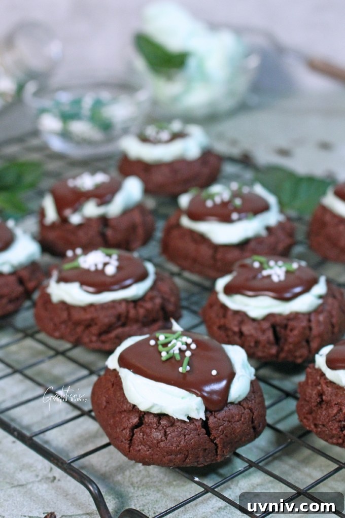 Chocolate Mint Thumbprint Cookies: Classic Recipe with Cool Filling 2 Chocolate Mint Thumbprints