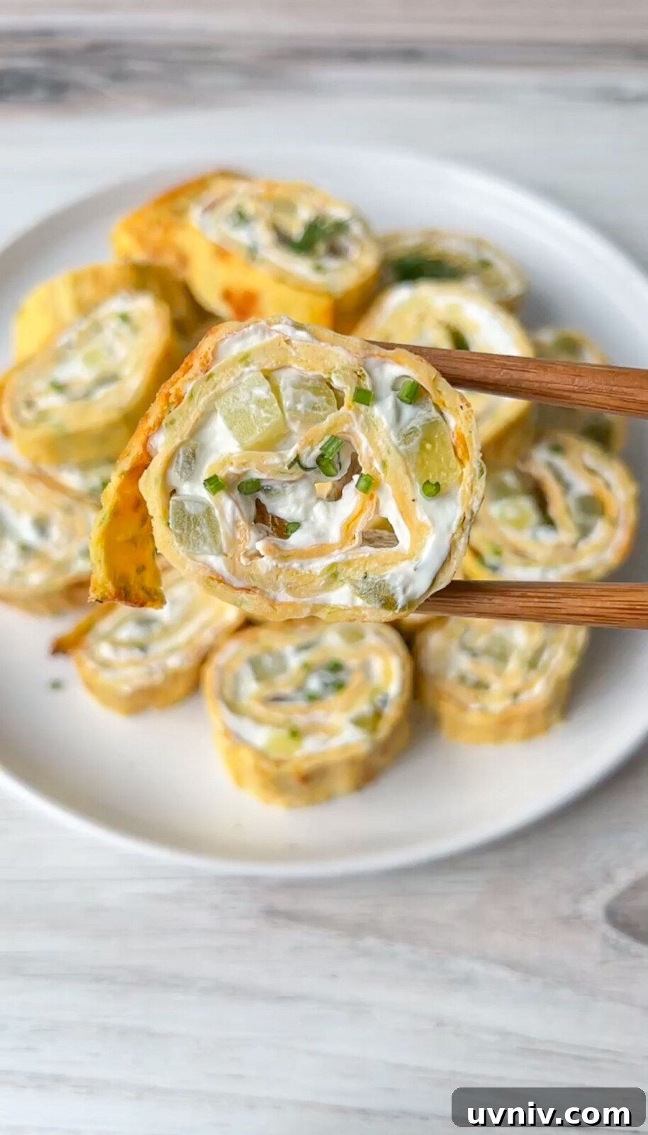 Crispy Zucchini Egg Roll Recipe with Garlic Dipping Sauce 2 Zucchini Egg Roll