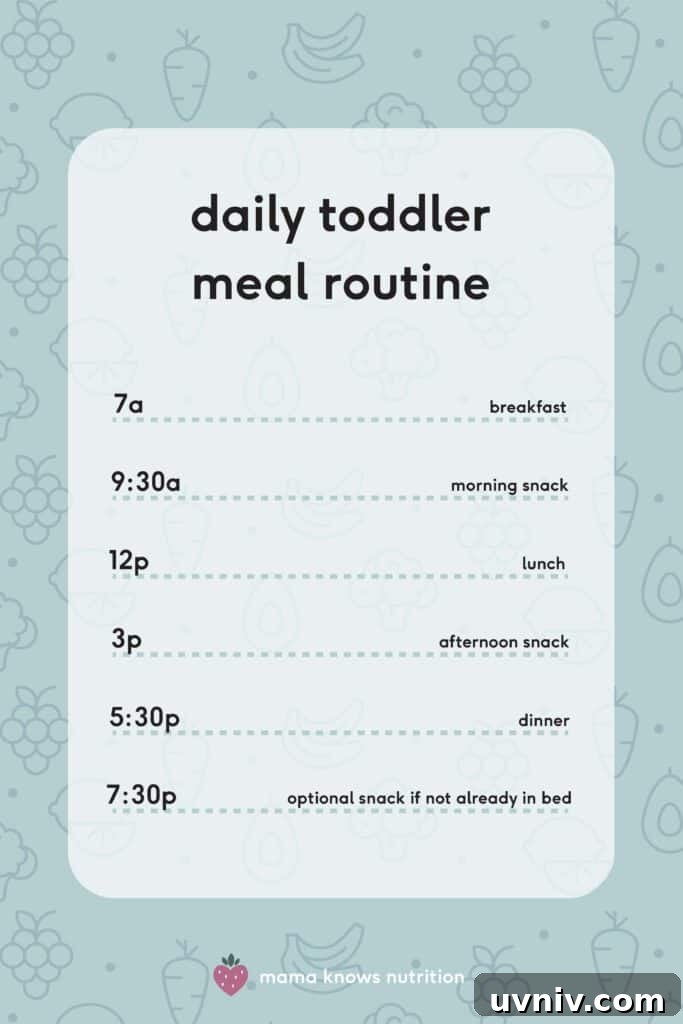 How to Get a Picky Eater Started on New Foods 3 daily toddler meal routine