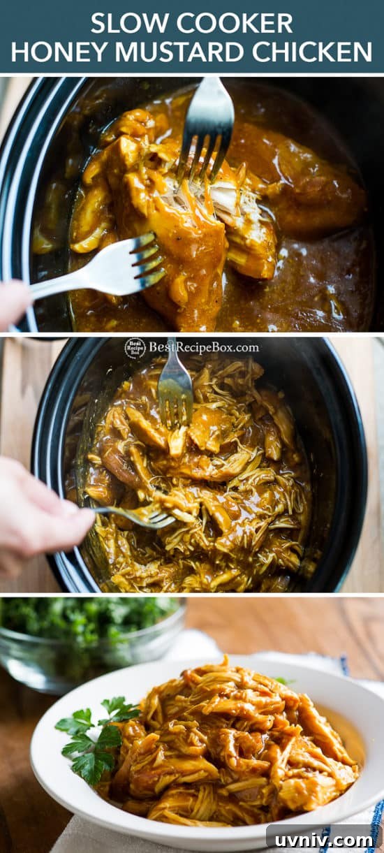Slow Cooker Honey Mustard Chicken Recipe in Crock Pot | BestRecipeBox.com Slow Cooker Honey Mustard Chicken Recipe in Crock Pot with forks step by step